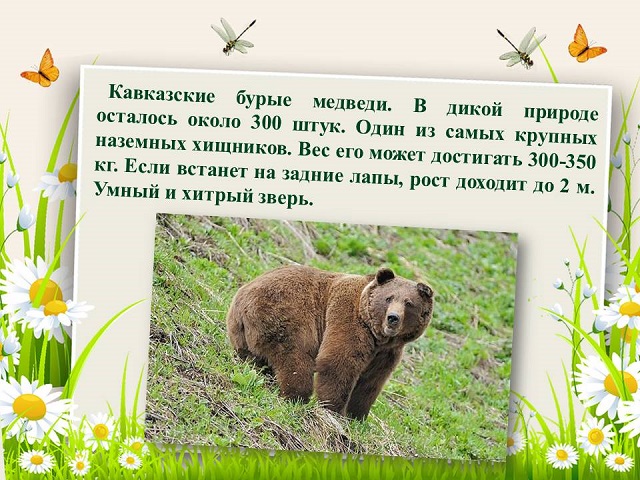 foto 09 11 2021 18 18 3