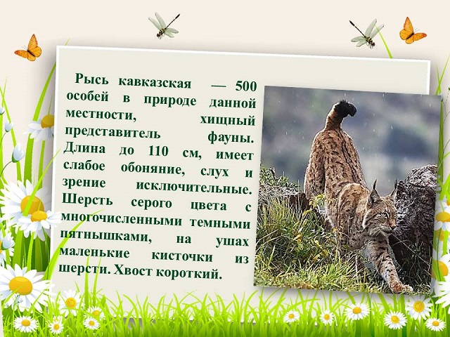 foto 09 11 2021 18 18 4
